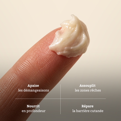 Crème pour le corps au suif de bœuf nourri à l'herbe